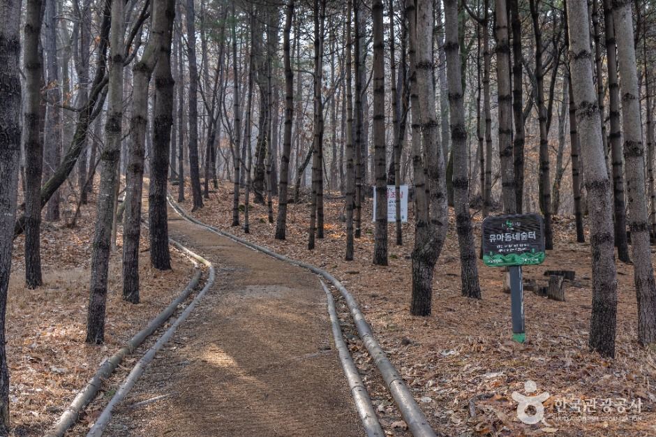 대모산도시자연공원