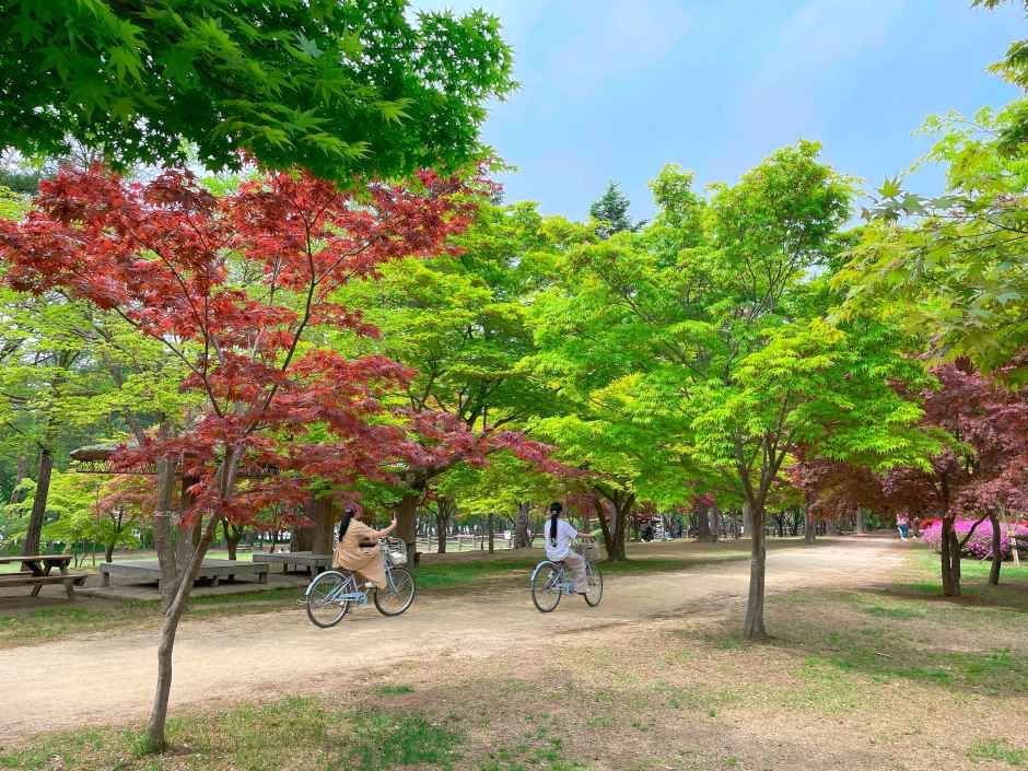 thumbnail-남이섬-46