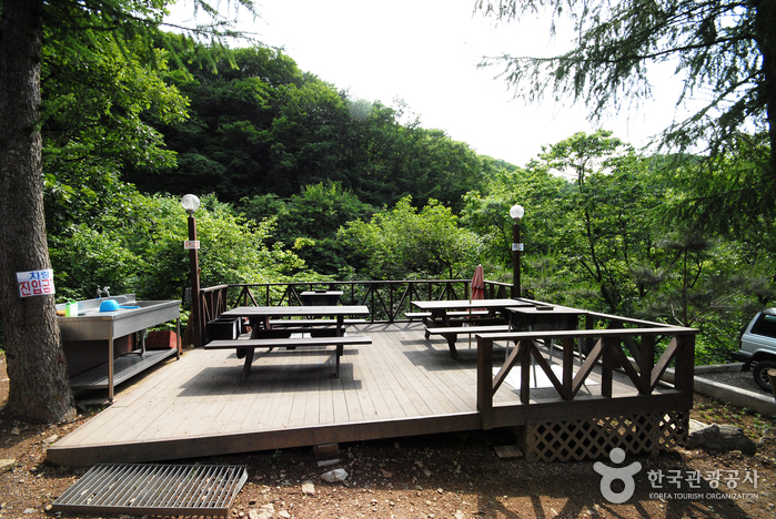 Bosque Recreativo de Cheongpyeong (청평자연휴양림)