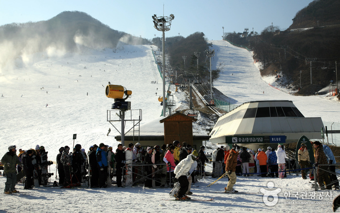 Jisan Forest Ski Resort (지산 포레스트 리조트 스키장)