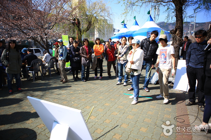 Jinhae Gunhangje Festival (진해군항제)