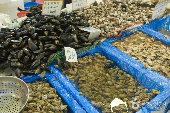 Seogwipo Maeil Olle Market (서귀포매일 올레시장)