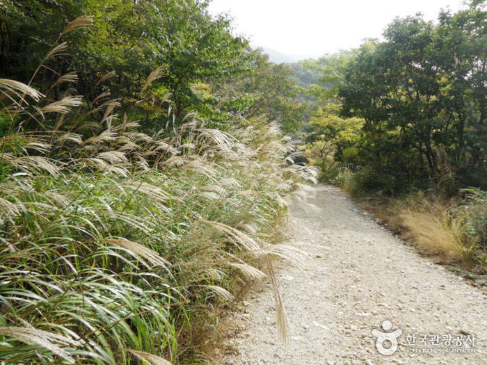 Provinzpark Gajisan (Miryang) (가지산도립공원(밀양))