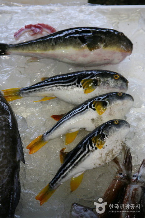 Jukdo Market (포항 죽도시장)