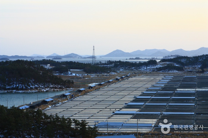 Jeungdo Island [A Slow City](증도)