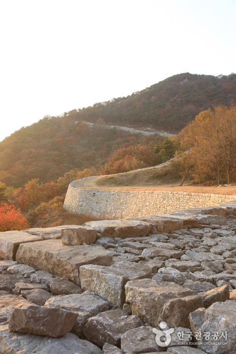Daeheungimjonseong F...
