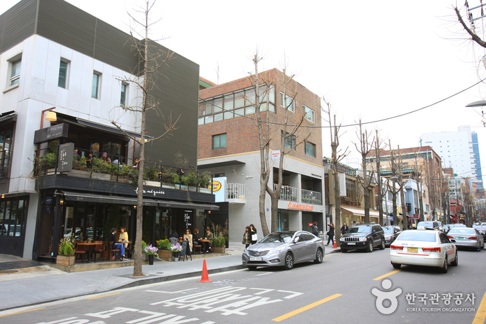 Sinsadong Garosu-gil Road (신사동 가로수길)