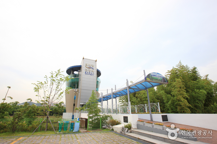 태화강 전망대0