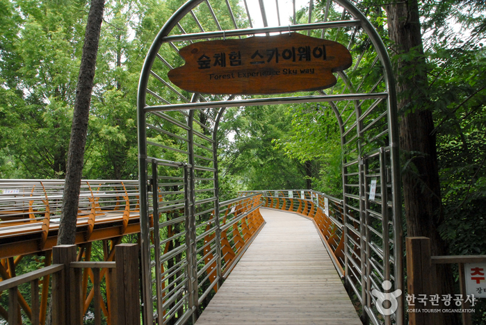 Forêt Jangtaesan (장태산자연휴양림)