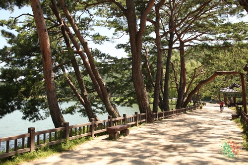 Uirimji Reservoir (제천 의림지와 제림)