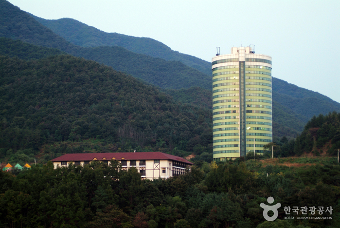 Chungjuho Resort (충주...