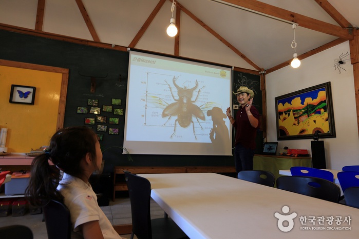 허브와풍뎅이의 곤충 생태 교육