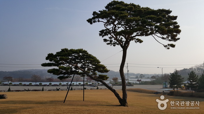 추사김정희선생고택·묘8