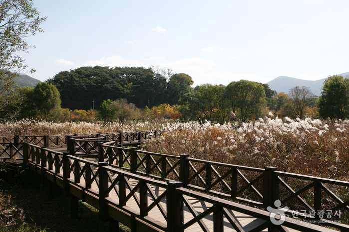 thumbnail-Gwangjuho Lake Eco Park (광주호 호수생태원)-2