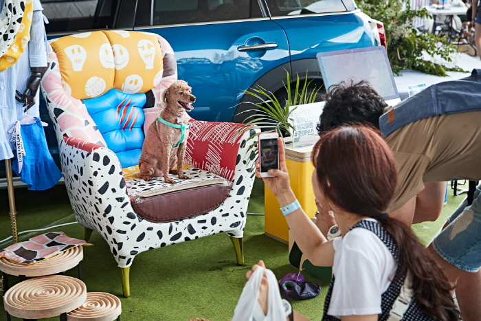 부산 펫팸 페스티벌 20195