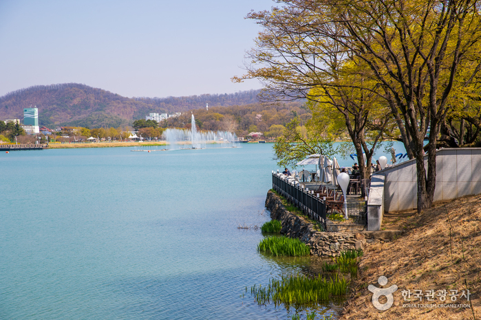 Resort de l'étang Suseong (수성못 유원지)