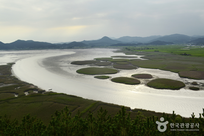Suncheonman Bay Wetland Reserve (순천만습지 (구, 순천만자연생태공원))
