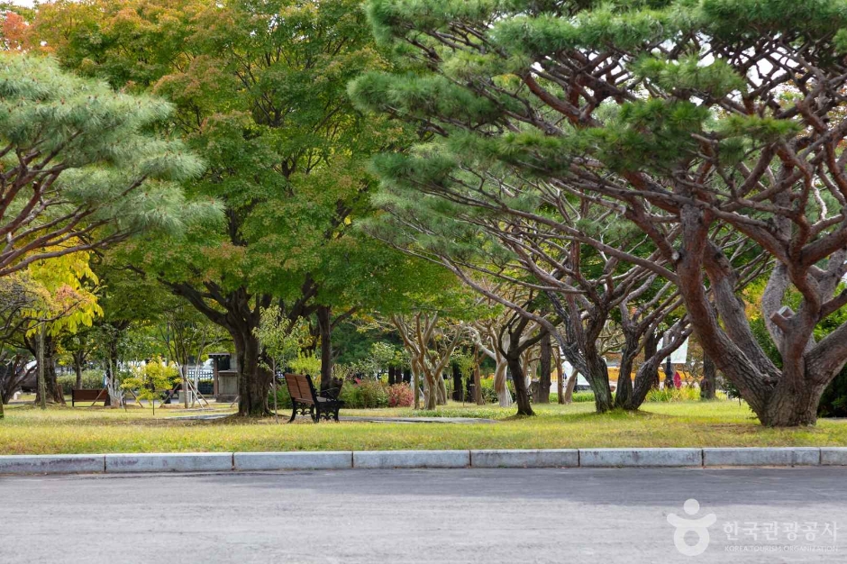 광주_북구_국립광주박물관 (18)