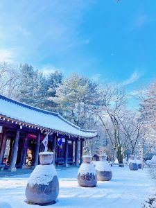 남이섬 (5)