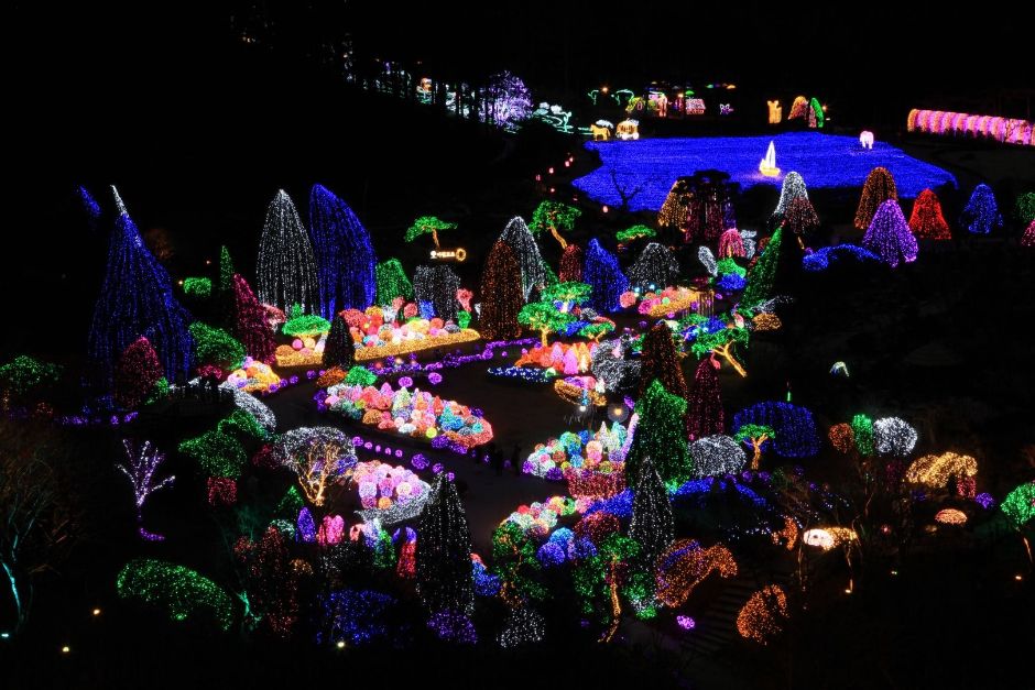 Lighting Festival at The Garden of Morning Calm (아침고요수목원 오색별빛정원전)