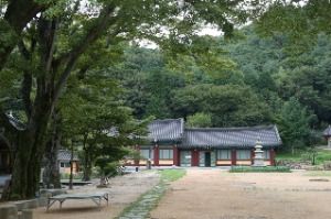 무위사 (7)