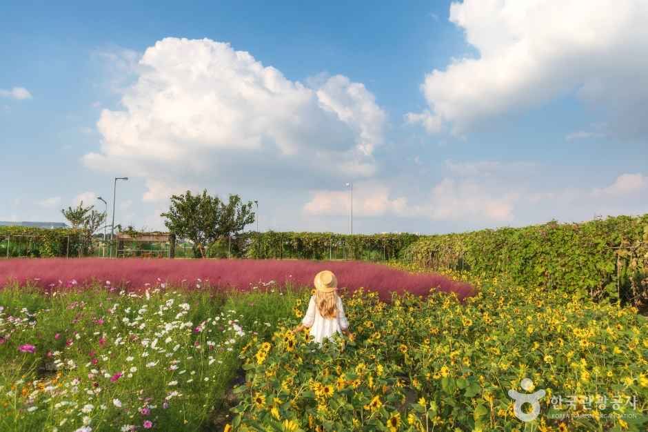 바람새마을