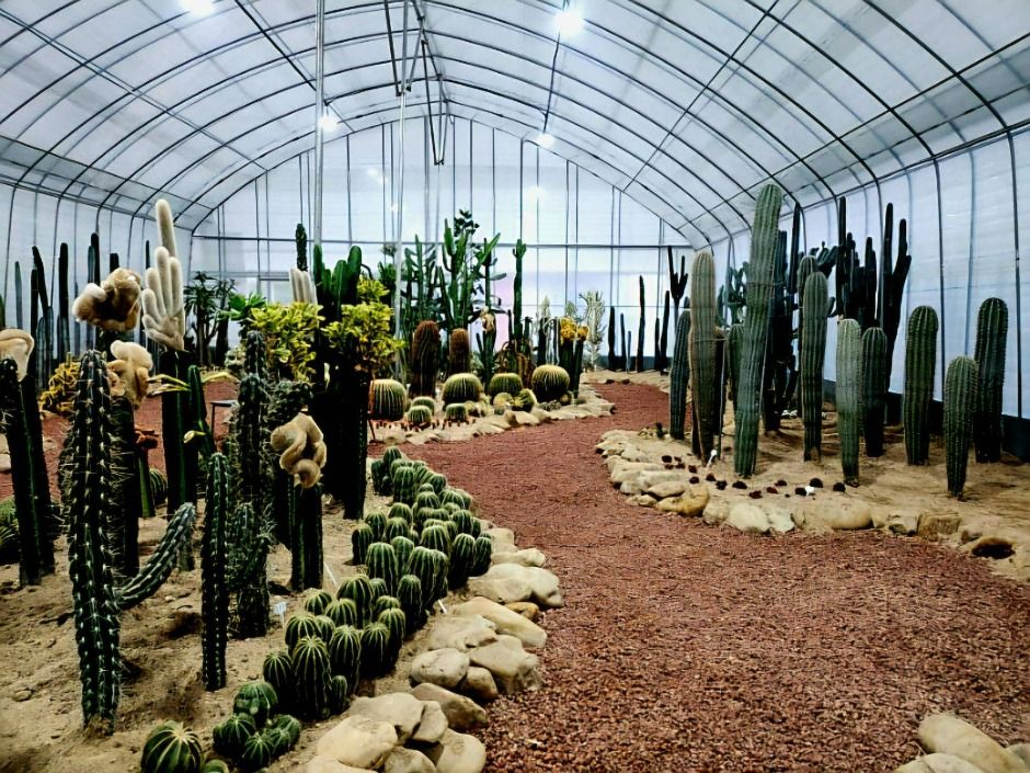 thumbnail-예술정원1999-23