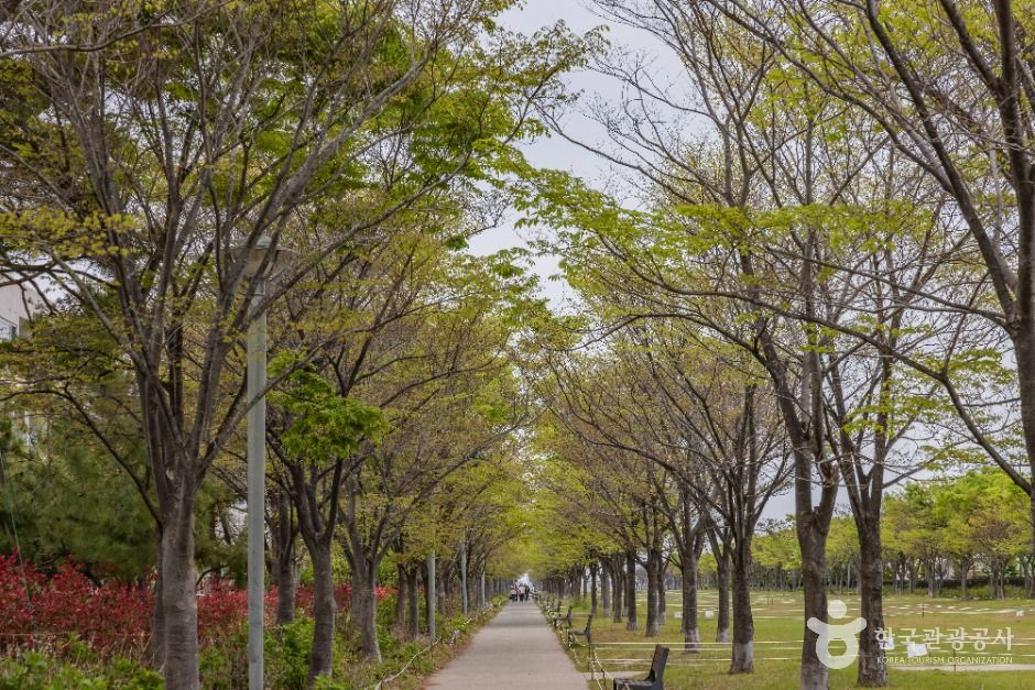 아미르공원