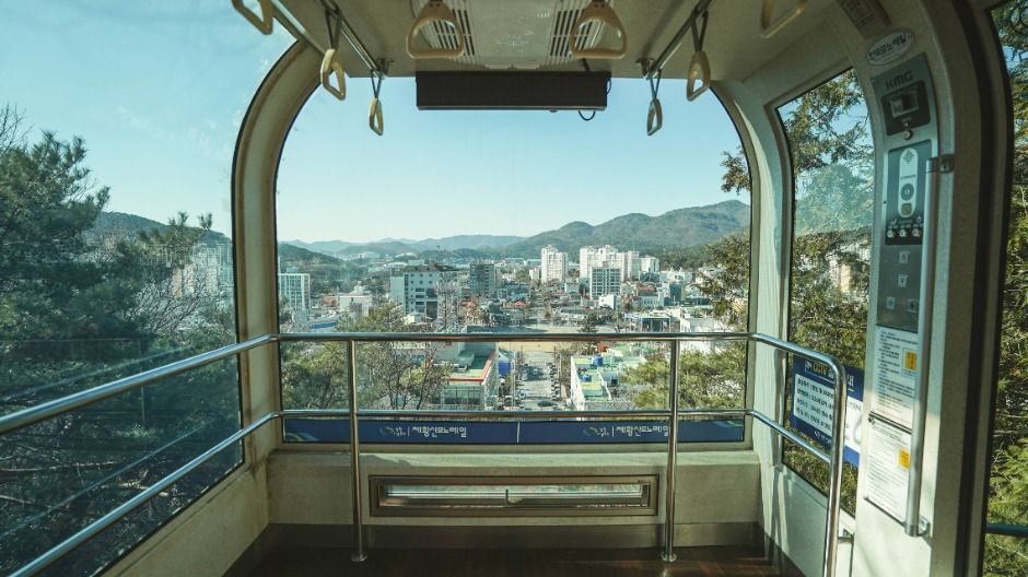 제황산공원