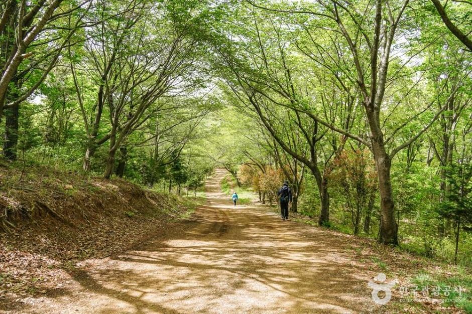 울산_해파랑길 8코스 (6)