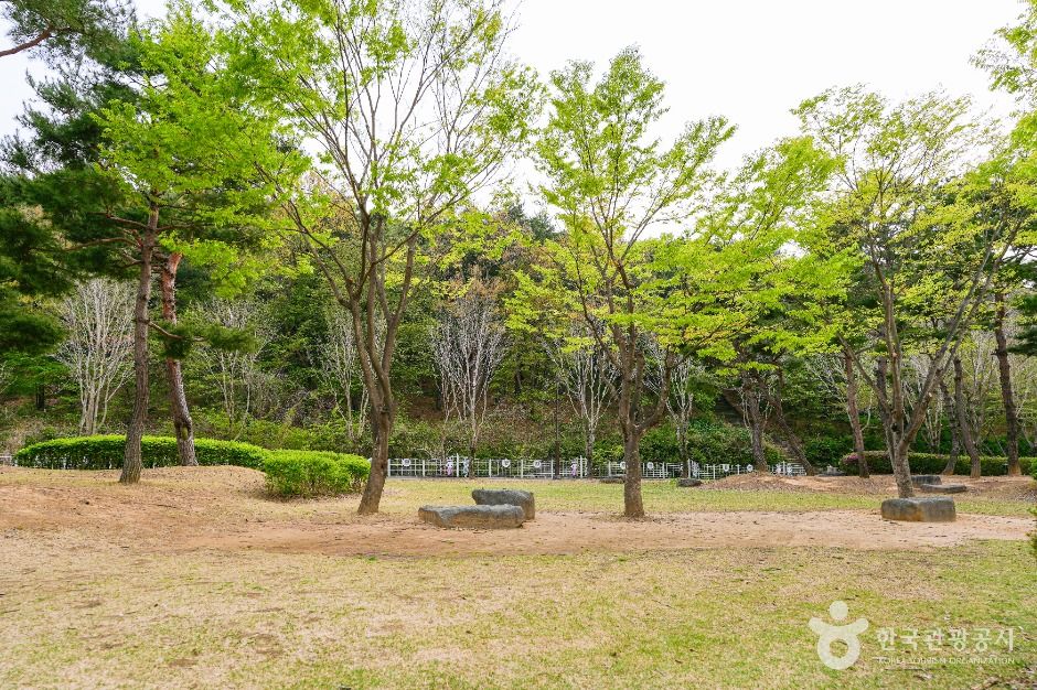 경주_흥무공원 (5)