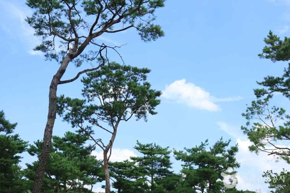 수원 노송공원