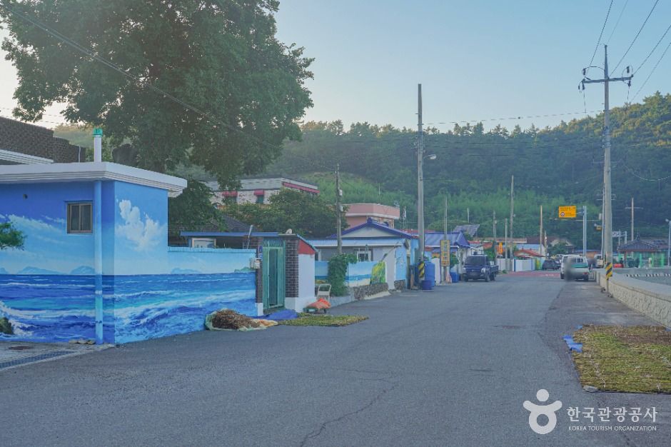 진도_접도 (7)