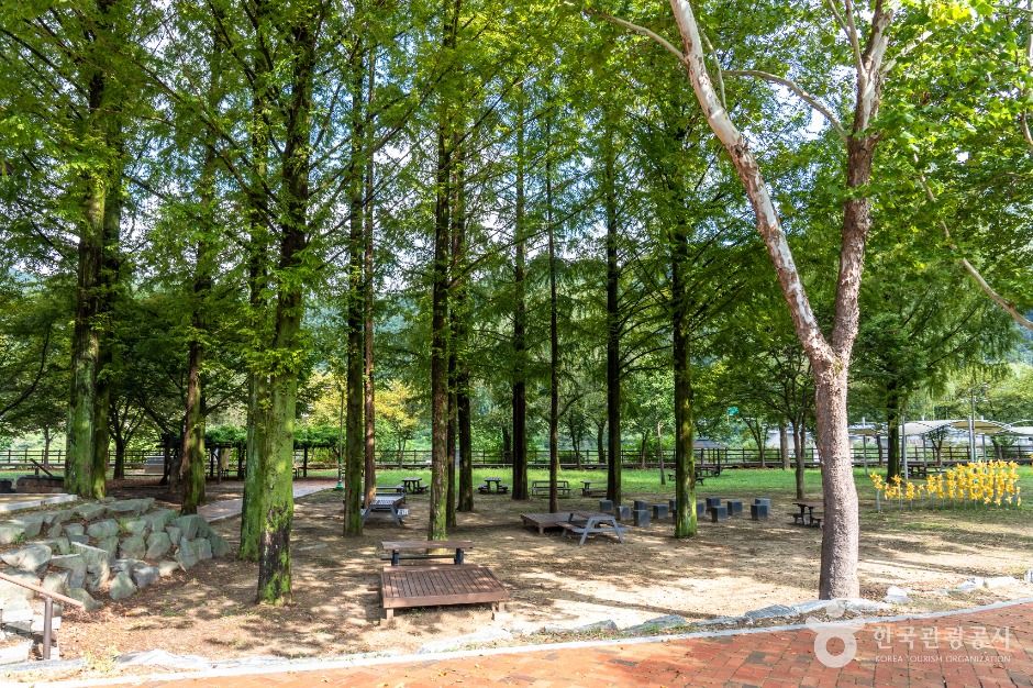 thumbnail-금강로하스대청공원-6