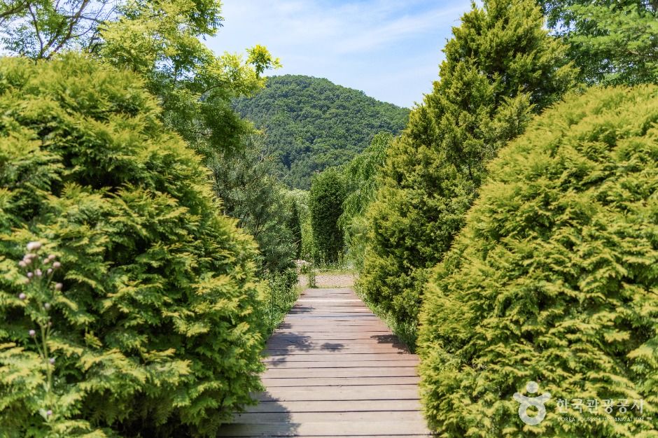 thumbnail-율곡수목원-4