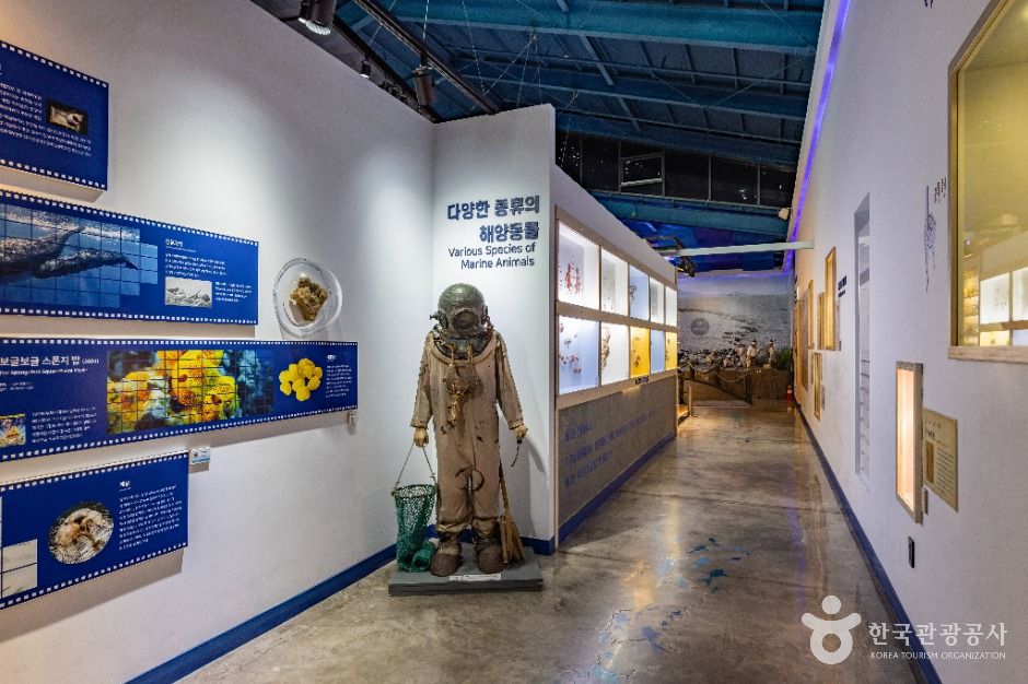 제주해양동물박물관