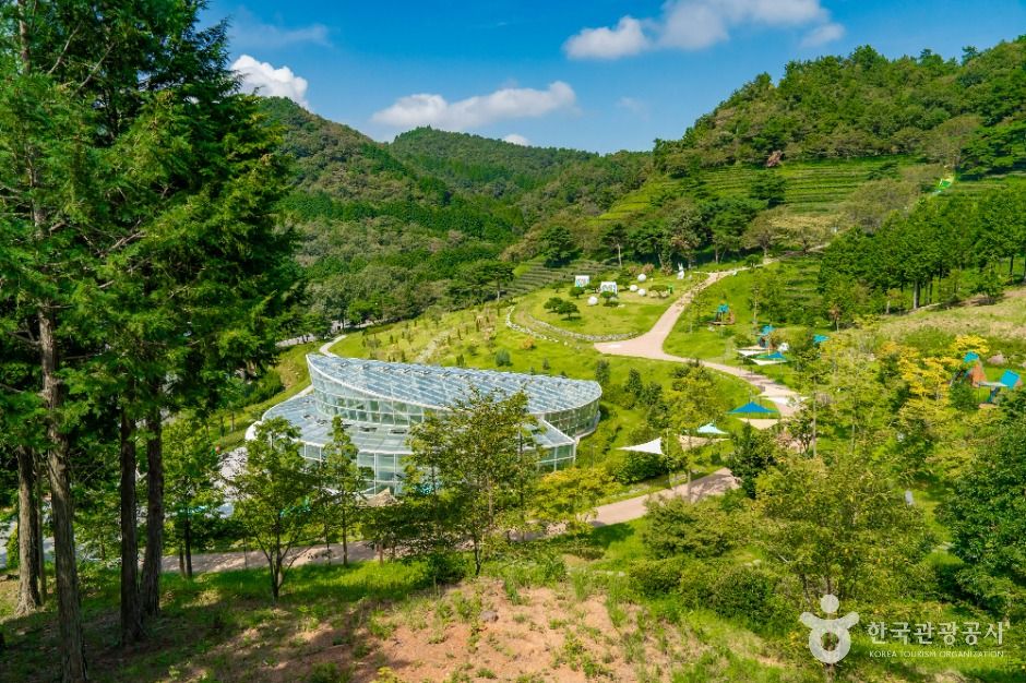 한국차문화공원