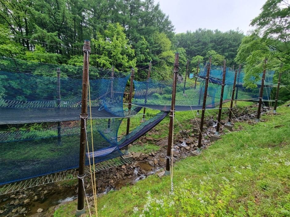 thumbnail-놀자숲-23