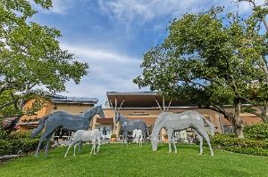 여주_신세계사이먼 여주 프리미엄 아울렛 (4)