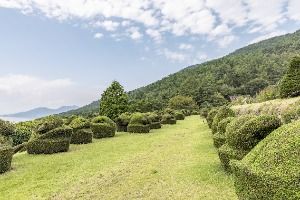 남해토피아랜드