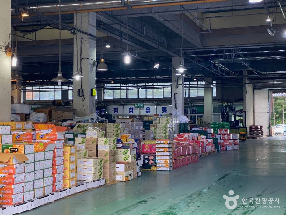 원주_원주 농산물도매시장 (3)
