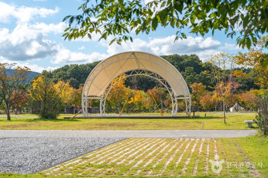 thumbnail-목계솔밭(충주)-4