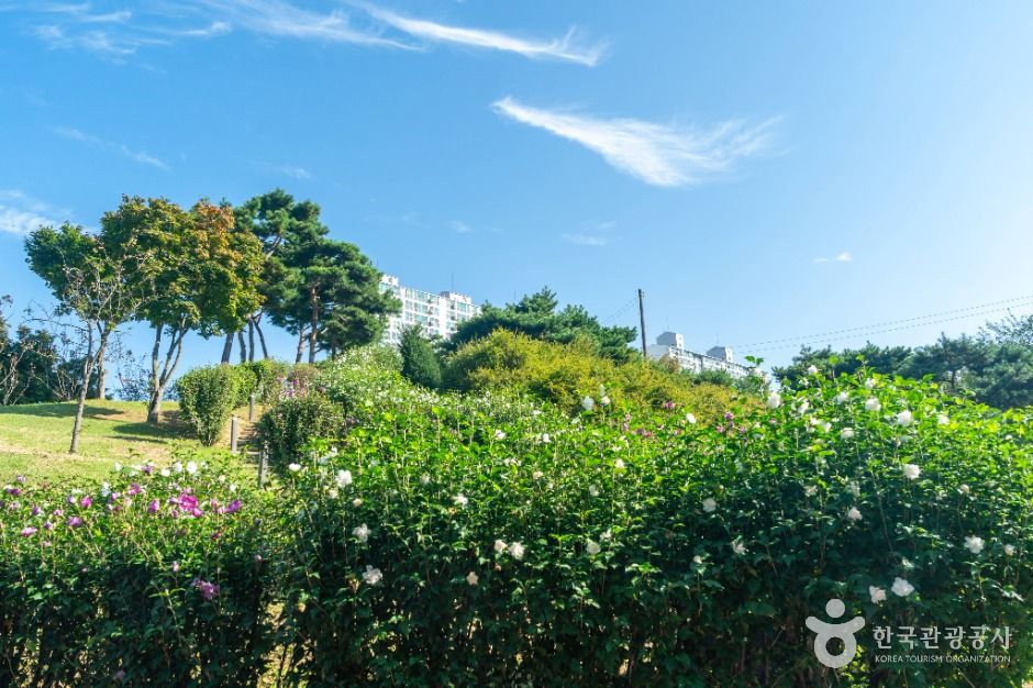 충주_호암지생태공원 (3)