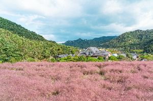 고창_꽃객프로젝트 (4)