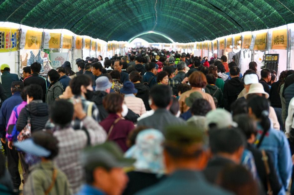 경북영주 풍기인삼축제