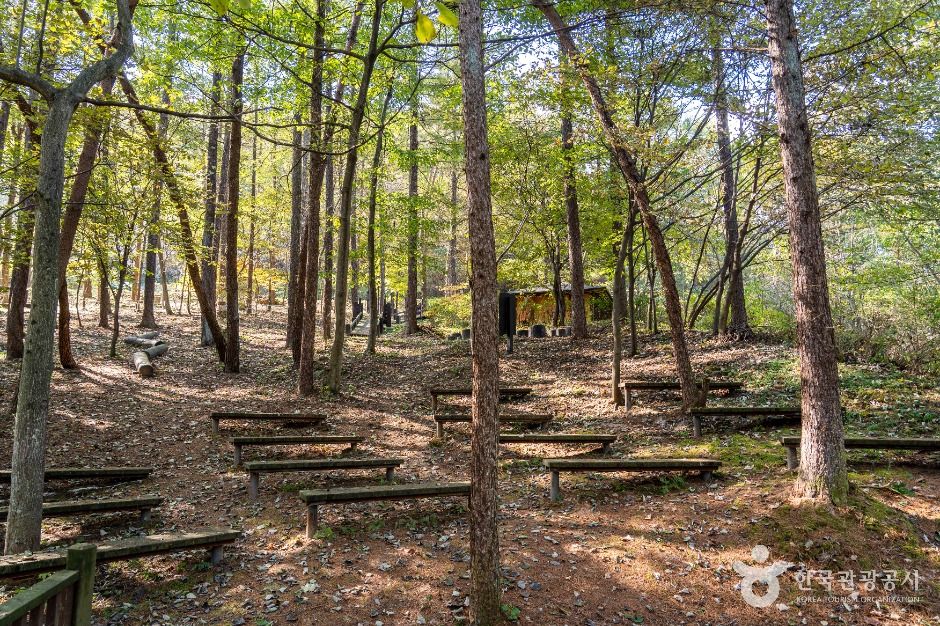 제천_덕동생태숲 (5)