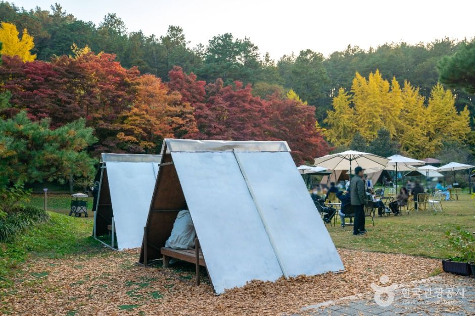 나주은행나무수목원