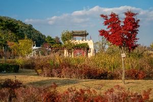 영천_영천 화랑설화마을 (3)