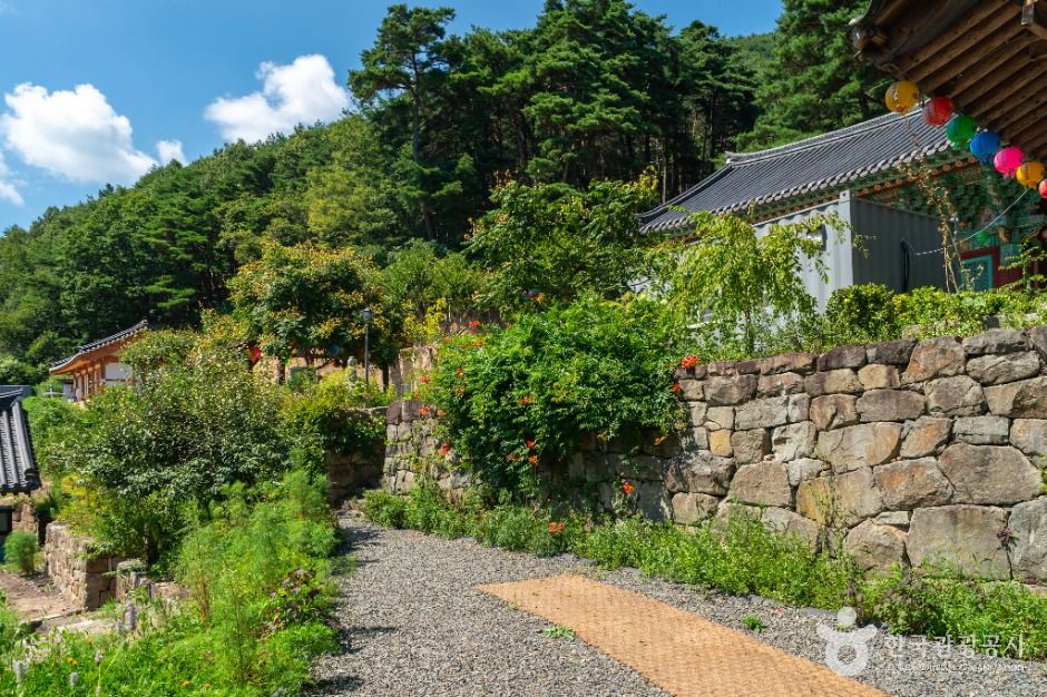 영천_거동사 (2)