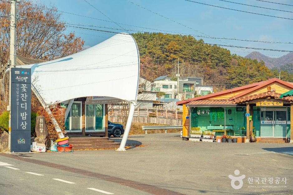 원연장 꽃잔디마을